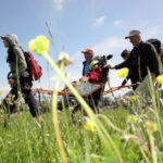 différence solidaires accueil