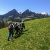 Activity day voucher - Image 12
